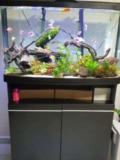(Category: ) located in . Submitted by aawa1973 (Listing ID 1111176479, Image 1). Description: .