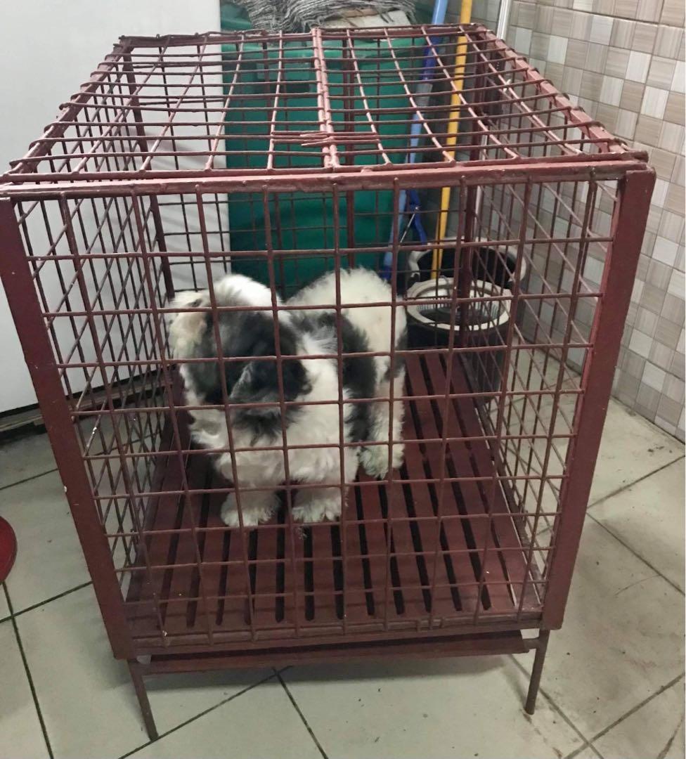 Cage for dogs olx sale