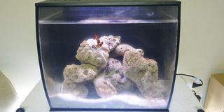 (Category: ) located in . Submitted by jusay31911 (Listing ID 1111144249, Image 1). Description: .