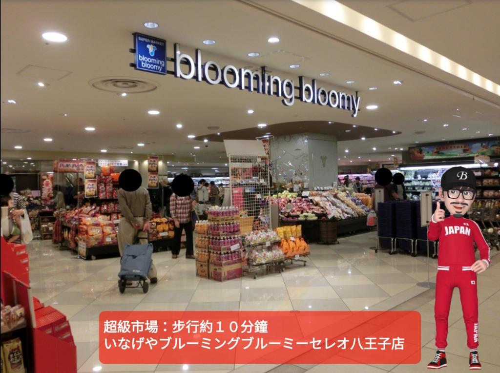 東京八王子優質收租盤 樓盤 海外樓盤 日韓 Carousell