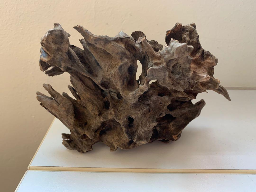 Aquariums Driftwood drift wood for fish and shrimp, Pet Supplies, Homes
