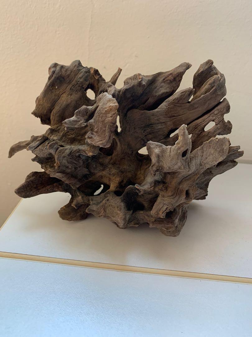 Aquariums Driftwood drift wood for fish and shrimp, Pet Supplies, Homes
