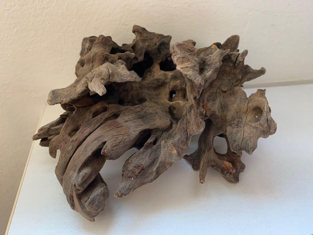 Aquariums Driftwood drift wood for fish and shrimp, Pet Supplies, Homes