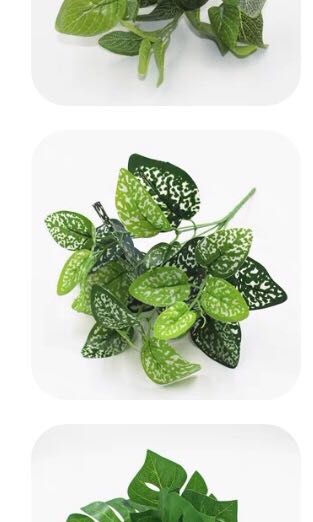 (Category: ) located in . Submitted by kwwk. (Listing ID 1114887085, Image 1). Description: .