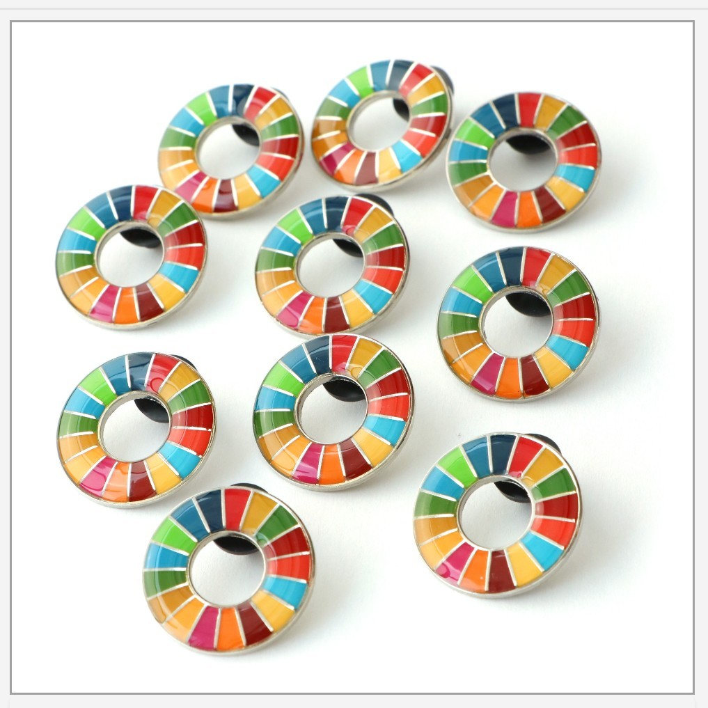 Official & Onhand BTS UN SDG Lapel Pins, Hobbies & Toys, Memorabilia