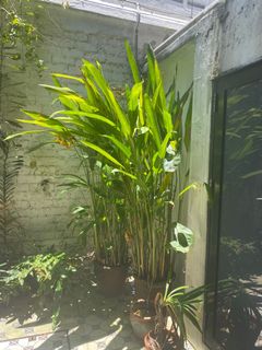 (Category: ) located in . Submitted by sarah86clp (Listing ID 1114792329, Image 1). Description: .
