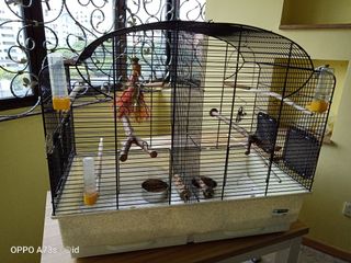 (Category: ) located in . Submitted by illyakuryakin (Listing ID 1114763573, Image 1). Description: .