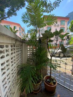 (Category: ) located in . Submitted by sarah86clp (Listing ID 1114793949, Image 1). Description: .