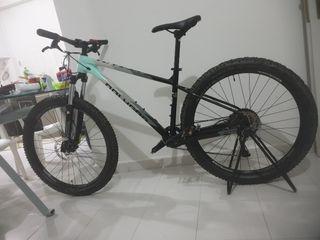 Polygon Xtrada 5 M:27.5