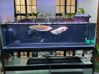 (Category: ) located in . Submitted by mslava (Listing ID 1114970343, Image 1). Description: .