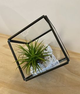 （分類：）位於 。 由 hellosoo 提交（商品編號 1115026913，圖片 1）。簡介： 。