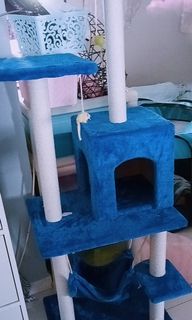 (Category: ) located in . Submitted by mrsamora (Listing ID 1114957276, Image 1). Description: .