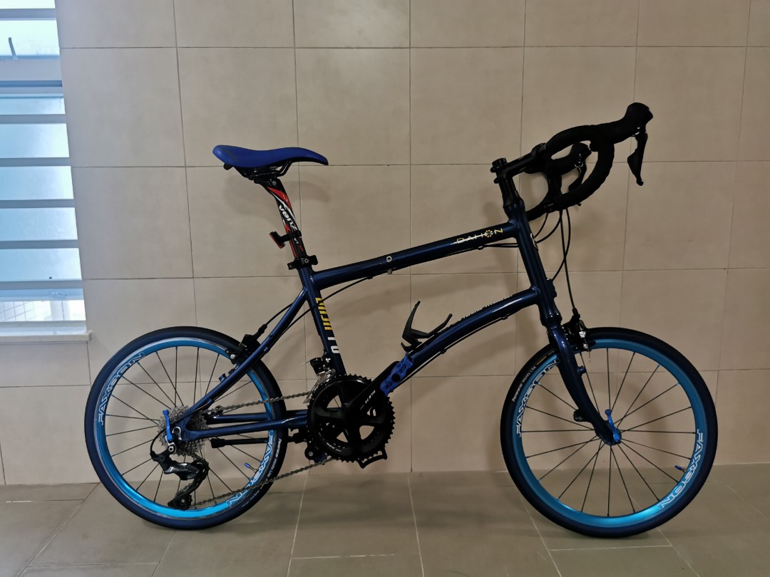 jual dahon dash