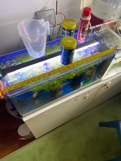 (Category: ) located in . Submitted by quinnisme (Listing ID 1114956169, Image 1). Description: .