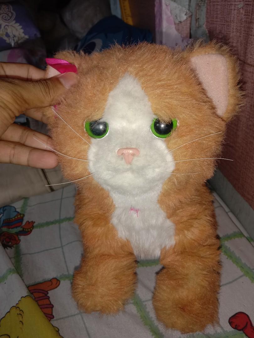 fur real (Category: Interactive Toys) located in Manila. Submitted by raymund2501 (Listing ID 1114960205, Image 1). Description: for sale fur real working battery operated.