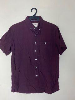 Maroon Polo Botton Down
