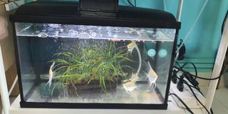 (Category: ) located in . Submitted by zainab1978 (Listing ID 1115067619, Image 1). Description: .