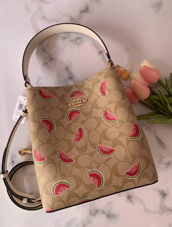 Watermelon print coach purse sales