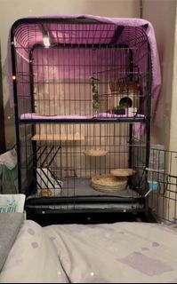 (Category: ) located in . Submitted by lorraine369 (Listing ID 1115093700, Image 1). Description: .
