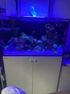 (Category: ) located in . Submitted by hlf90 (Listing ID 1114969433, Image 1). Description: .