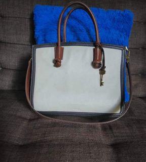 Tas Fossil