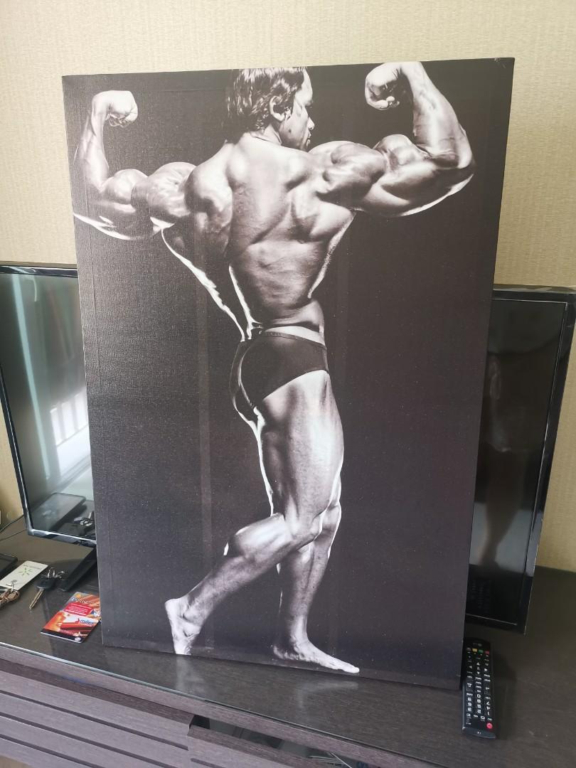 A3 A4 SIZE ARNOLD SCHWARZENEGGER POSTER FITNESS GYM QUOTE MUSCLES PRINT