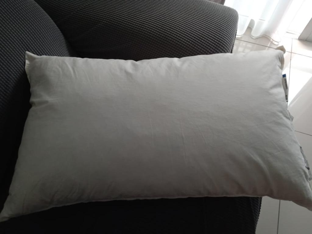 Gosa pinje top