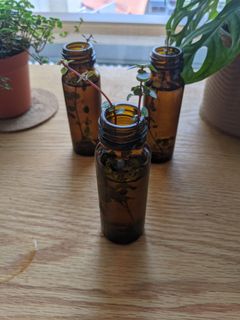 (Category: ) located in . Submitted by theekismet (Listing ID 1115141847, Image 1). Description: .