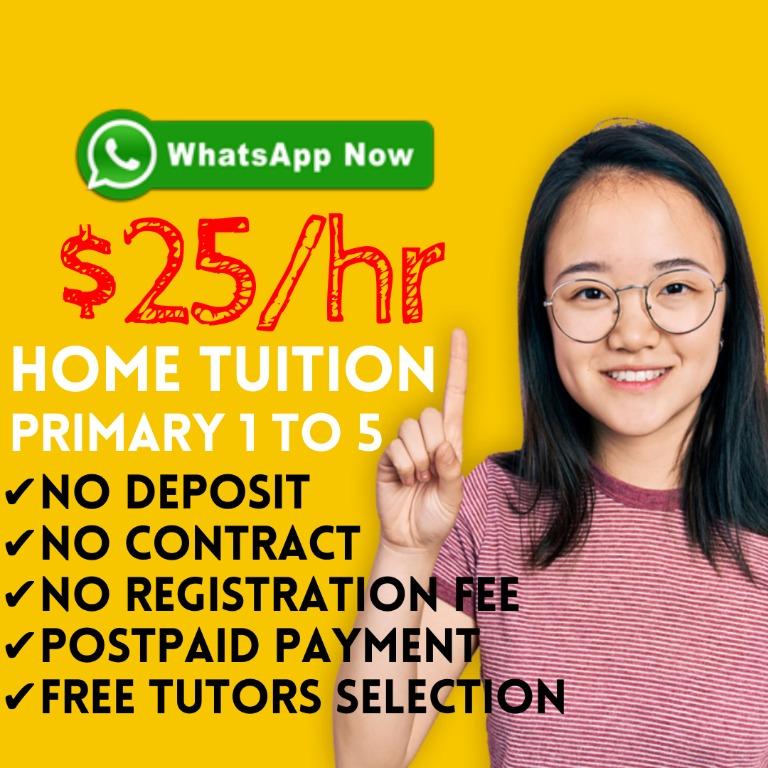 Primary Tuition Primary Home Tutors English Maths Mathematics Science Chinese Malay Tamil Private Tutor