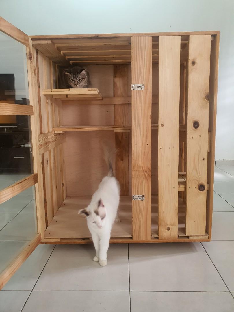 Rumah kucing mampu milik, Pet Supplies, Pet Accessories on Carousell