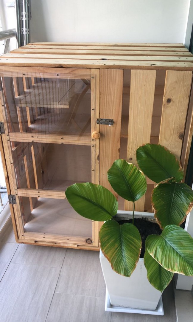 Rumah kucing mampu milik, Pet Supplies, Pet Accessories on Carousell