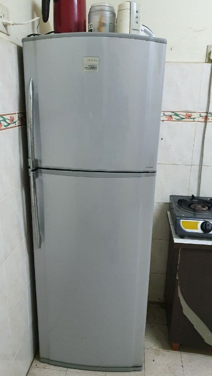 Toshiba Hybrid Plasma Refrigerator 2 doors