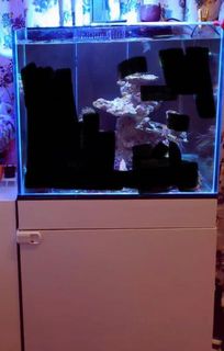 (Category: ) located in . Submitted by amlmnsr (Listing ID 1115474797, Image 1). Description: .