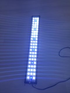 (Category: ) located in . Submitted by verygoodqualityitems (Listing ID 1115387265, Image 1). Description: .