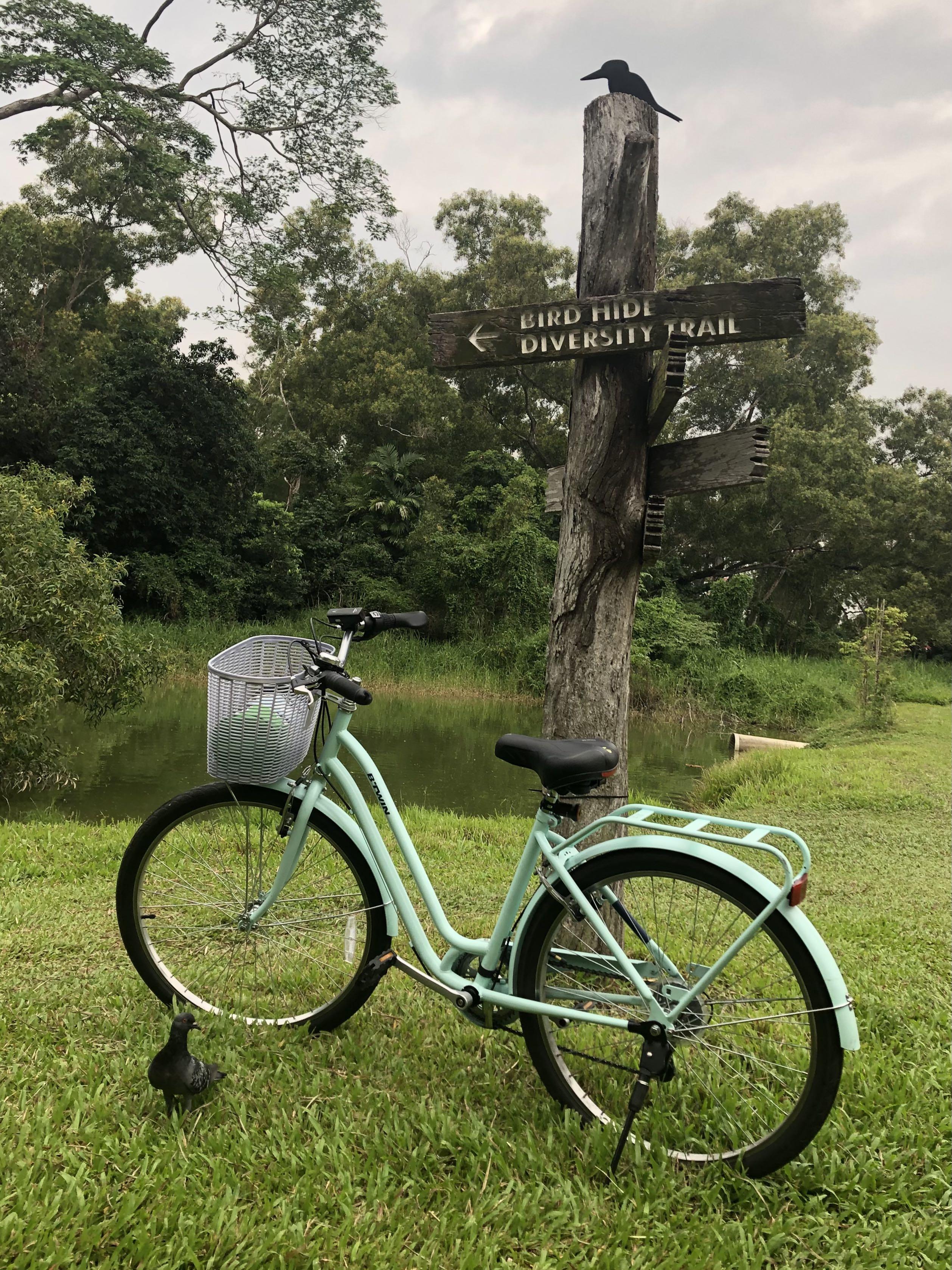 BTWIN Elops 120 Low Frame 26in 6sp City Bike Acid Green Sports Equipment Bicycles Parts Bicycles on Carousell