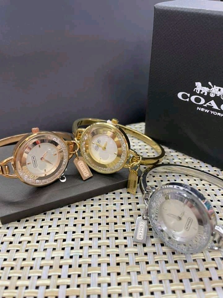 Coach phoebe sales bangle watch