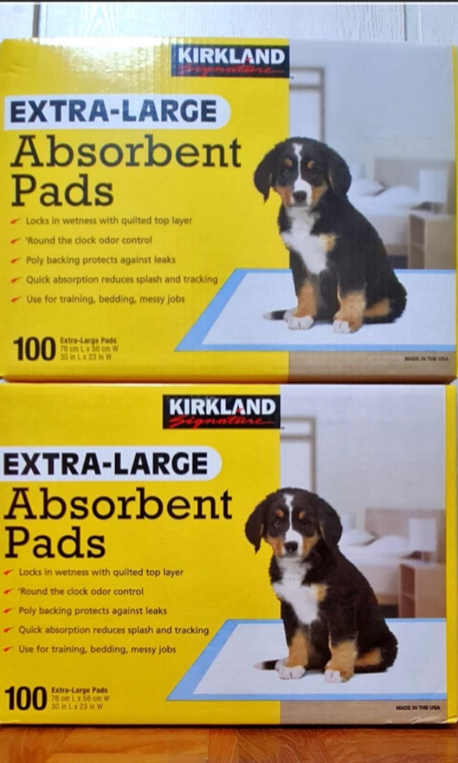 Dog training shop pads costco