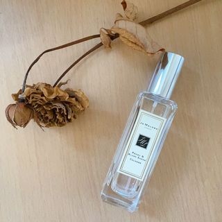 （分類：）位於 。 由 fig_wasp 提交（商品編號 1115294144，圖片 1）。簡介： 。
