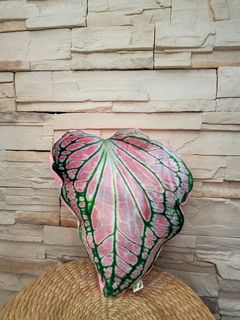 (Category: ) located in . Submitted by plantaesphere (Listing ID 1115448127, Image 1). Description: .