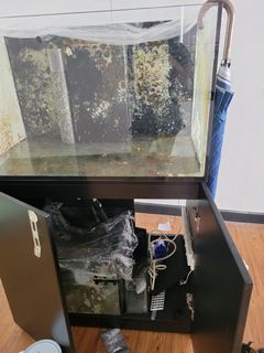 （分類：）位於 。 由 alice320 提交（商品編號 1115345946，圖片 1）。簡介： 。