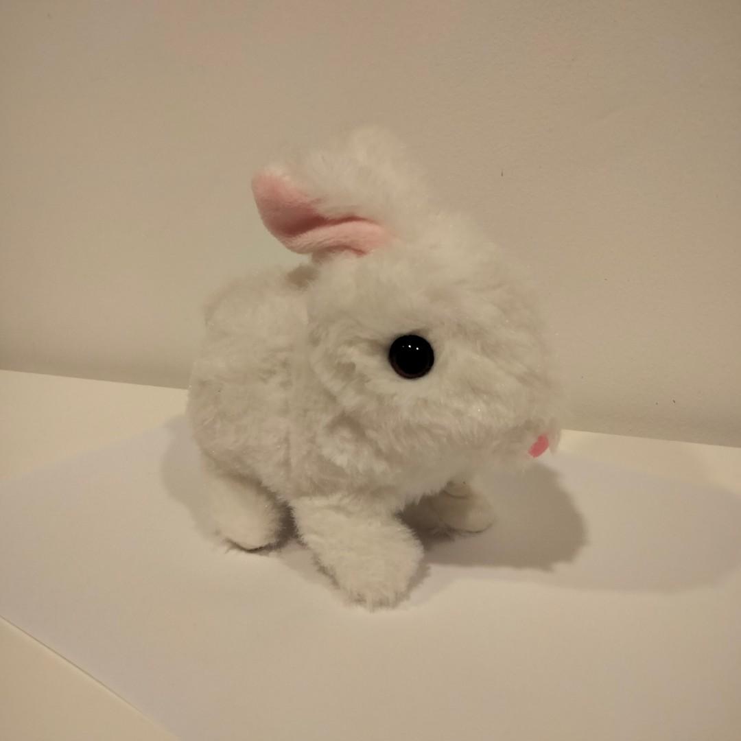 Moving rabbit shop toy