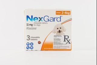Nexgard Anti-Tick and Flea Chewable (2-4kg) 