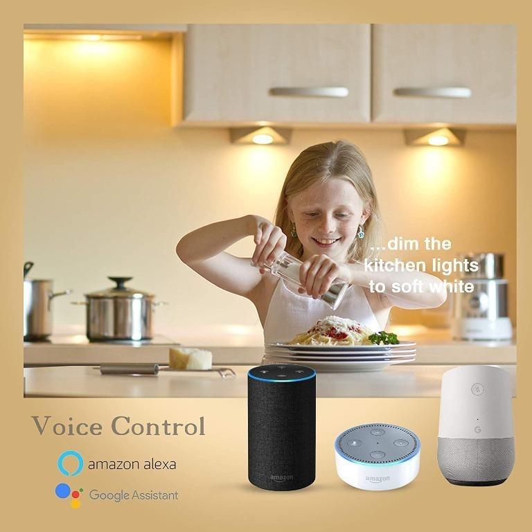 Echo dot compatible lights top