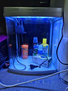 (Category: ) located in . Submitted by iamurdaddy (Listing ID 1115557494, Image 1). Description: .