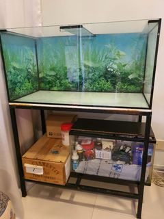 (Category: ) located in . Submitted by linyap1960 (Listing ID 1115556700, Image 1). Description: .