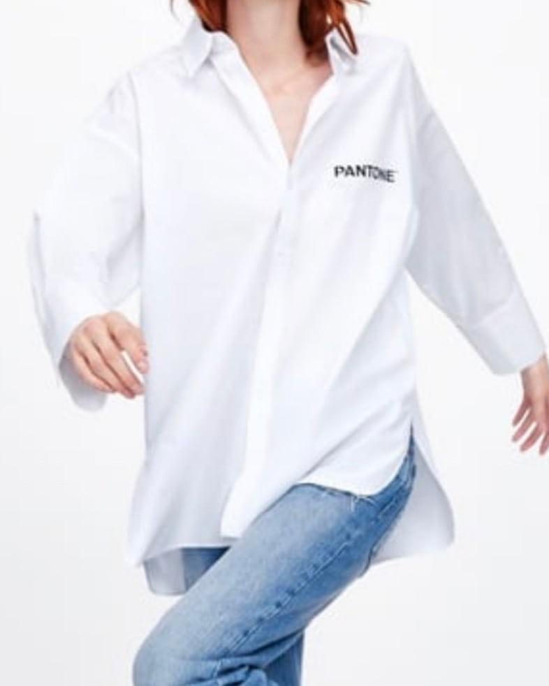 lingerie under shirt