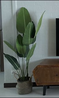 (Category: ) located in . Submitted by kei66 (Listing ID 1115683763, Image 1). Description: .