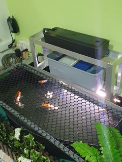 (Category: ) located in . Submitted by frontdoorshops (Listing ID 1115721555, Image 1). Description: .