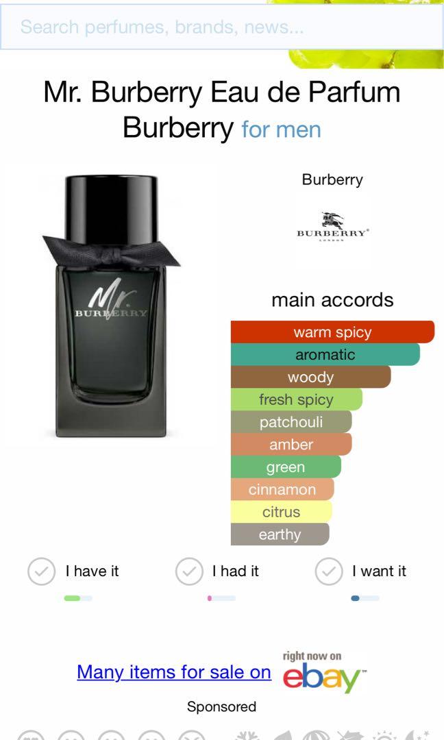 Mr burberry 7.5 ml store