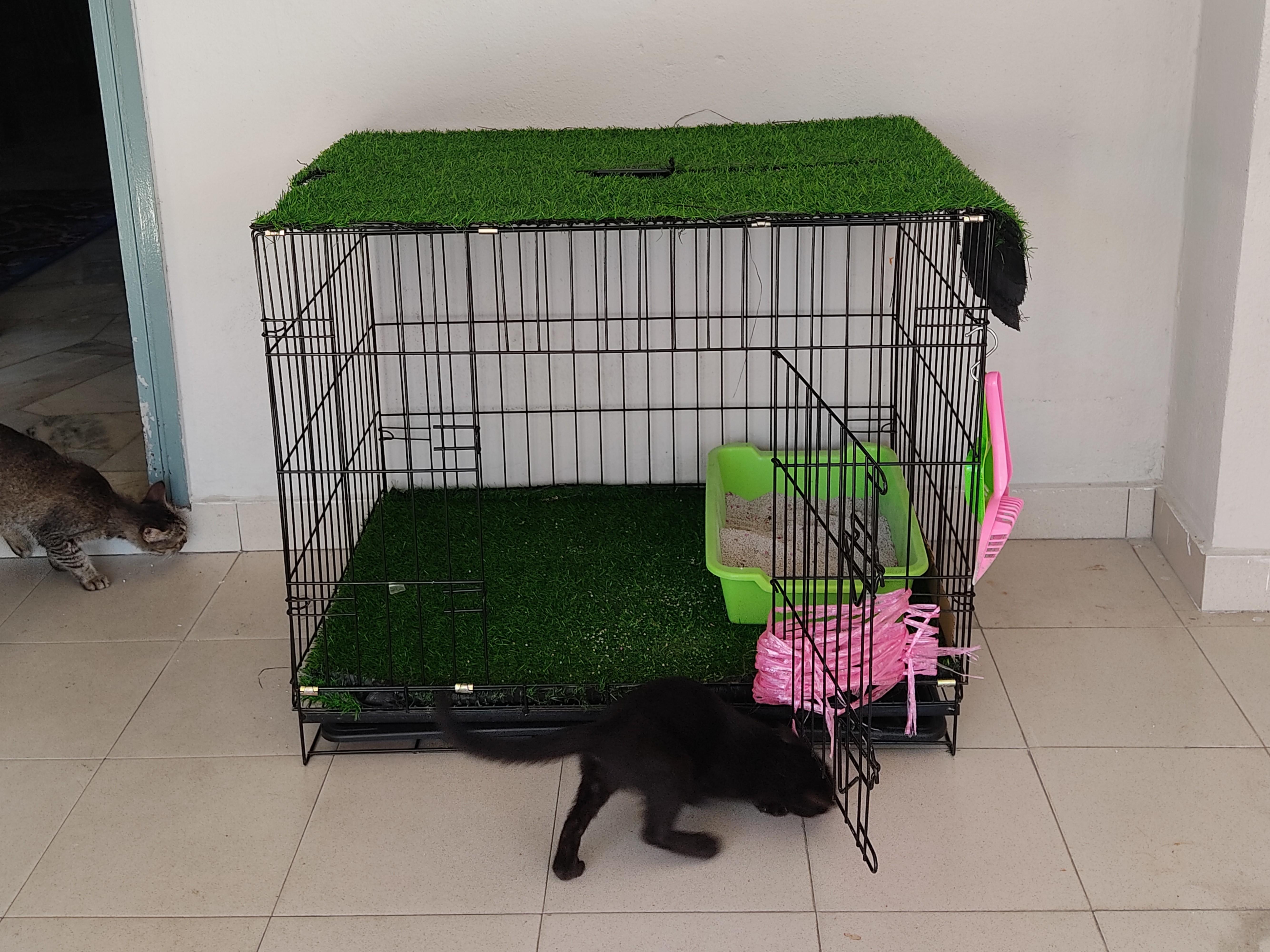 Sangkar Kucing Murah 60cm×40cm, Pet Supplies, Pet Accessories on 